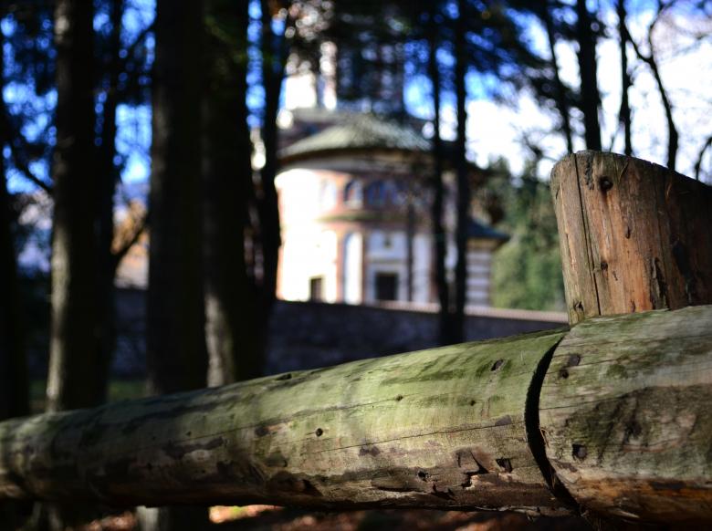 Free stock image of Church in the forest created by Octavian
