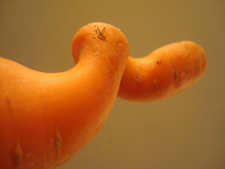 Free stock image of Swirling carrot created by Boris Kyurkchiev