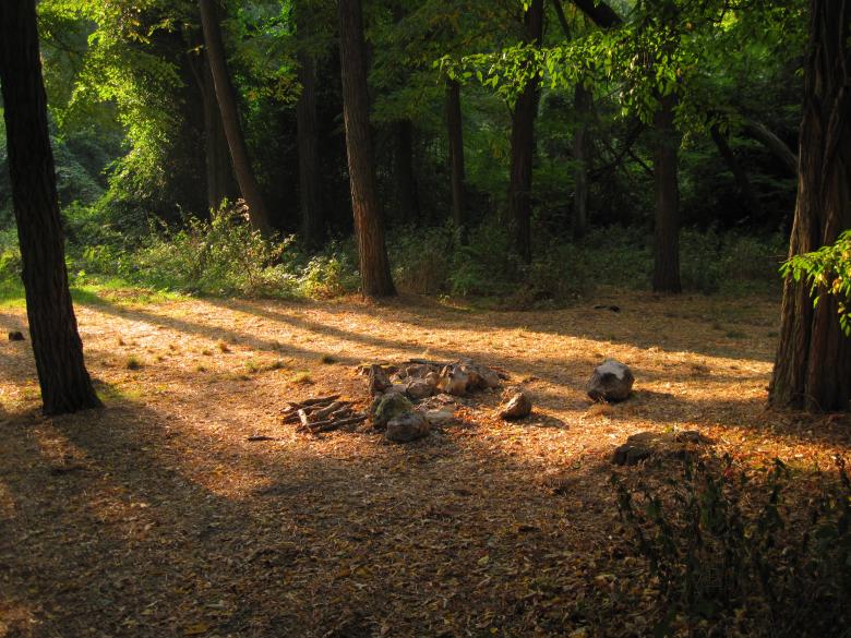 Free stock image of Camping place in the forest created by Boris Kyurkchiev