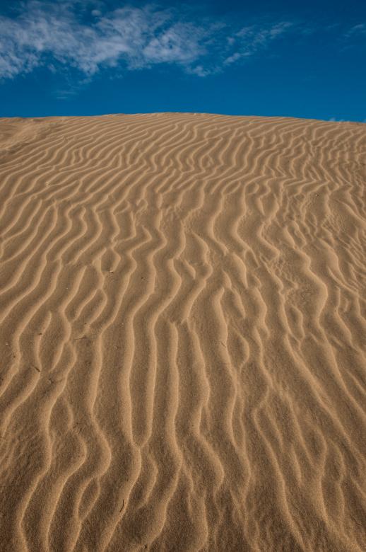 Free stock image of Desert sand ripples created by Luka