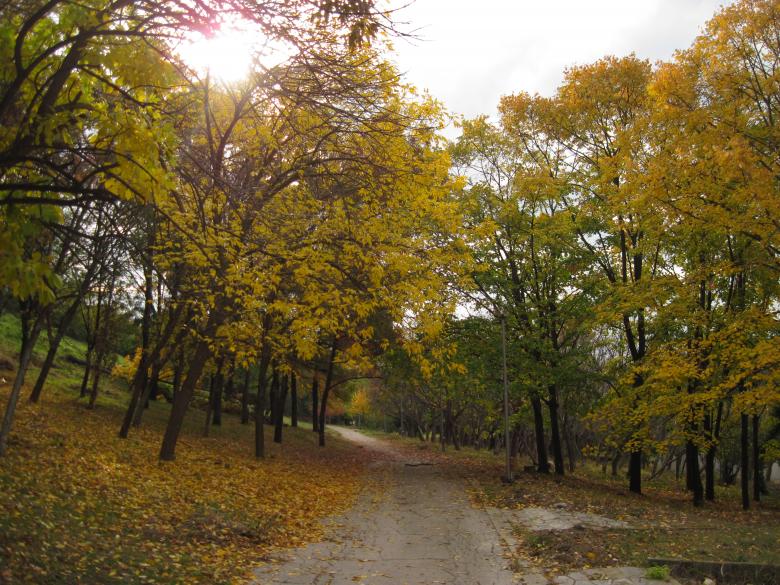 Free stock image of Autumn in the park created by Boris Kyurkchiev