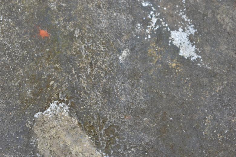 Free stock image of Rough wall texture  created by Ryan Jhoe
