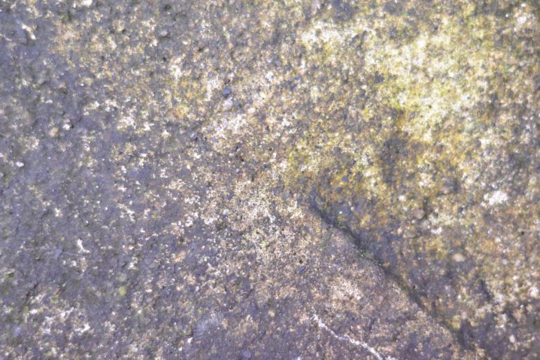 Free stock image of Grunge and rough wall texture created by Ryan Jhoe