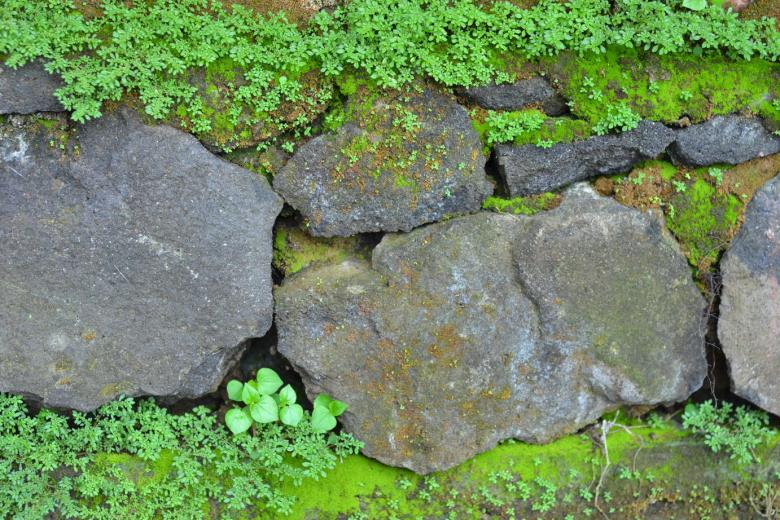 Free stock image of Pile of Rocks created by Ryan Jhoe