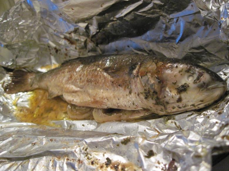 Free stock image of Baked trout fish created by Boris Kyurkchiev