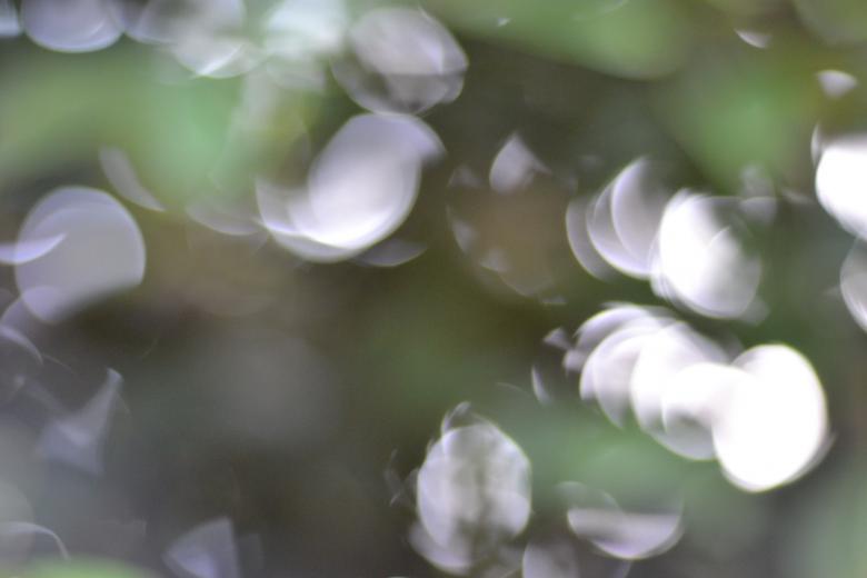 Free stock image of Smoke Blurry Light created by Ryan Jhoe