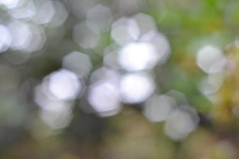 Free stock image of Honeycomb Lights created by Ryan Jhoe