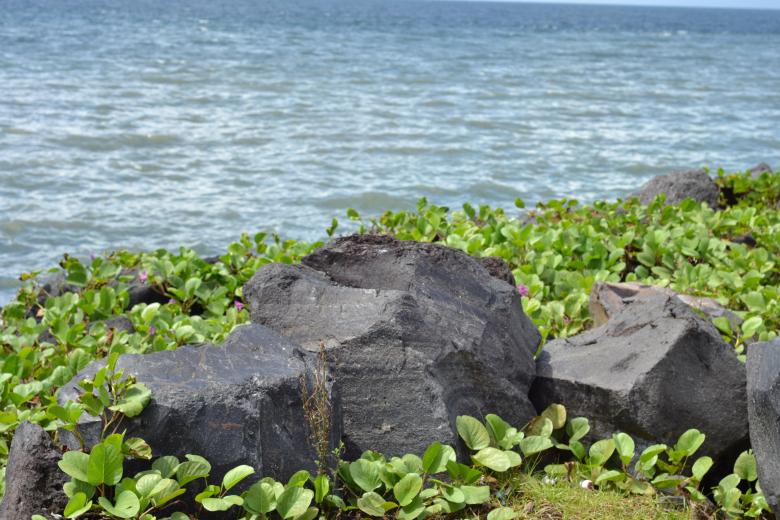 Free stock image of Big Stones and Plantation created by Ryan Jhoe