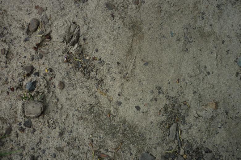 Free stock image of Grungy Texture created by Jillian Haldeman