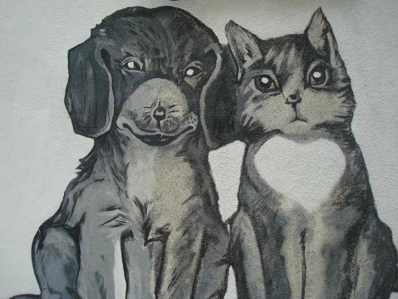 Free stock image of Cat and dog painting created by Boris Kyurkchiev