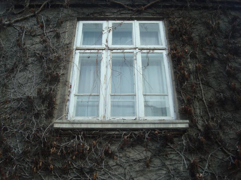 Free stock image of Window on an old building created by Boris Kyurkchiev