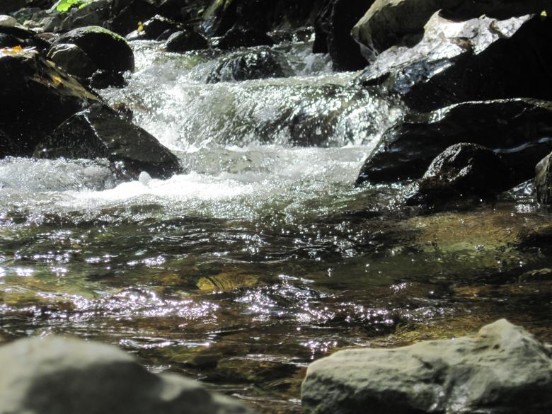Free stock image of Mountain river created by Boris Kyurkchiev