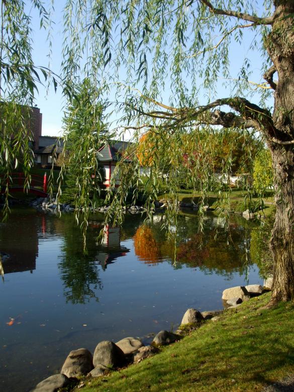 Free stock image of Asian Garden created by Crystal Kordalchuk