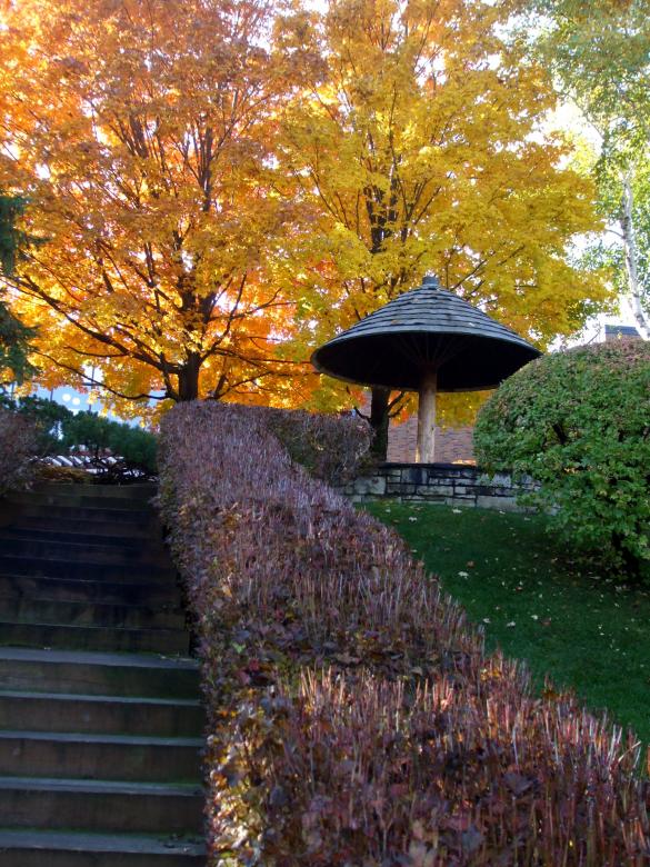 Free stock image of Autumn Asian Garden created by Crystal Kordalchuk