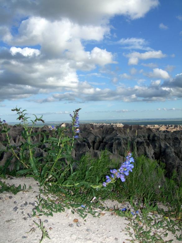 Free stock image of Badlands created by Crystal Kordalchuk