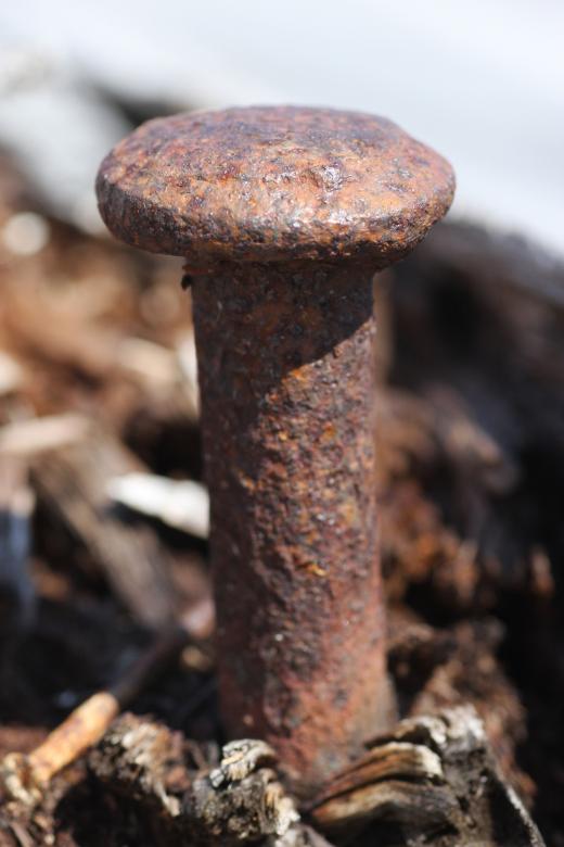 Free stock image of Spike created by Geoffrey Whiteway