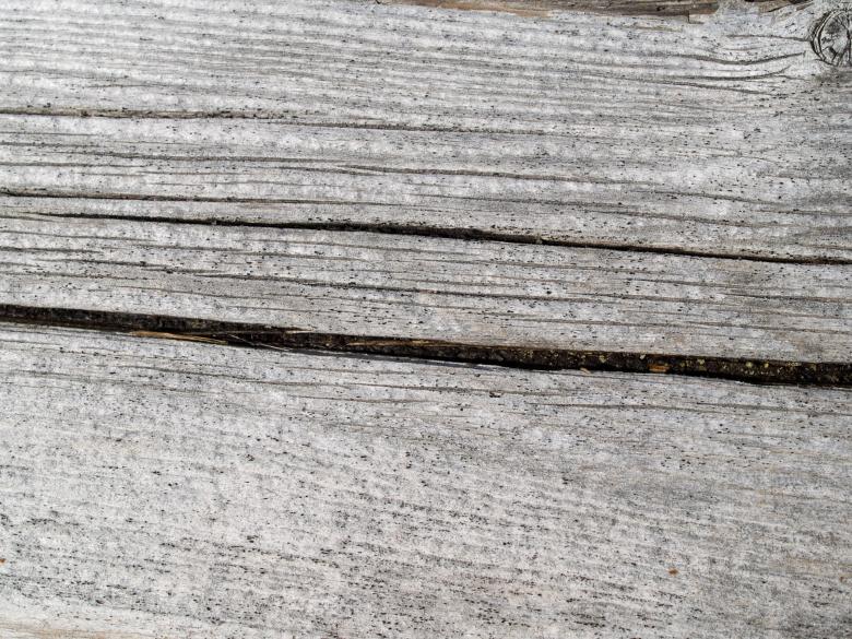 Free stock image of Wood created by Geoffrey Whiteway