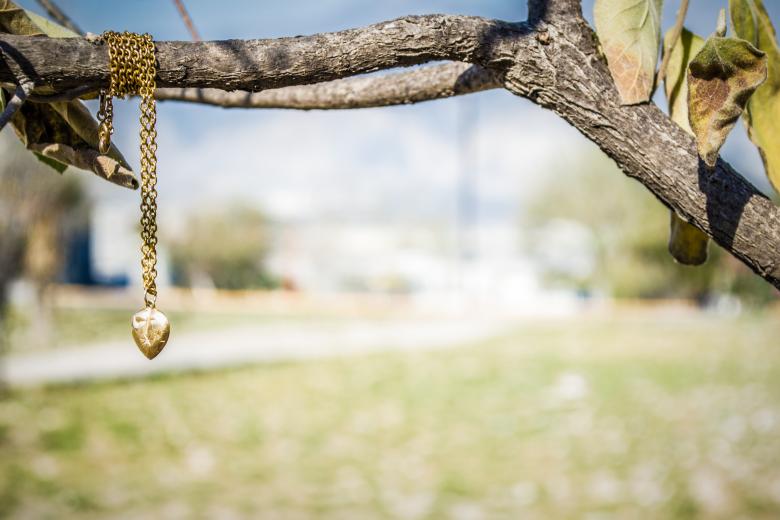 Free stock image of Necklace created by Ezequiel Bruni