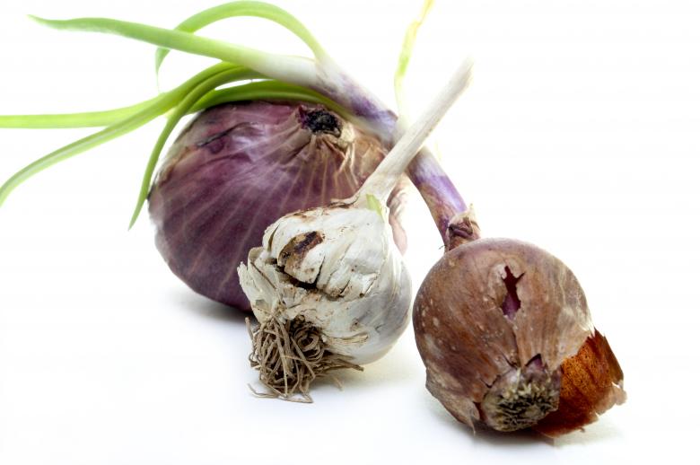 Free stock image of Onions &amp; Garlic created by Nadar Khan Khattak