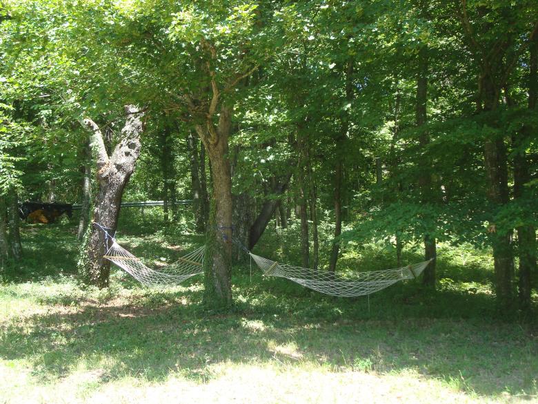 Free stock image of Chill-out in the forest created by Boris Kyurkchiev