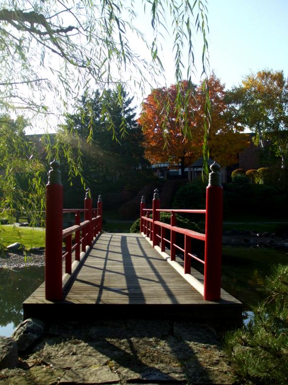 Free stock image of Garden Bridge created by Crystal Kordalchuk