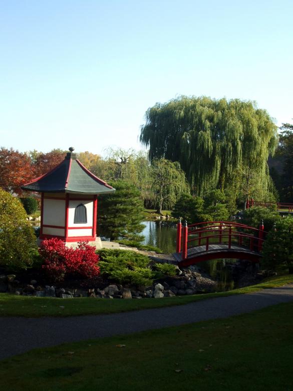 Free stock image of Peaceful Asian Garden created by Crystal Kordalchuk