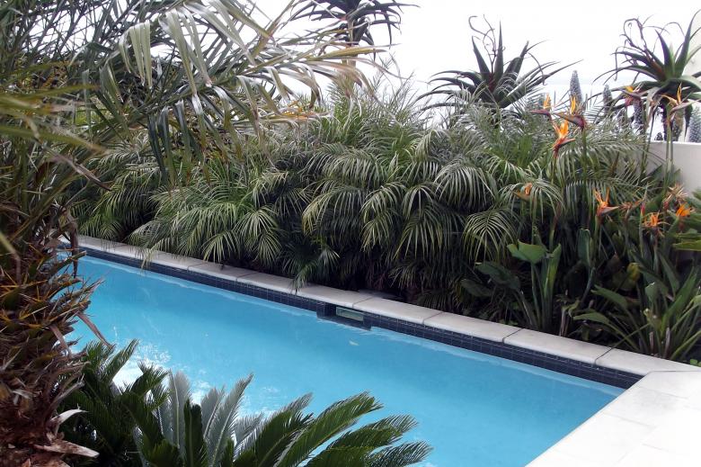 Free stock image of Swimming Pool created by James Walton