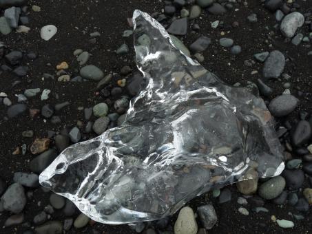 Ice dog