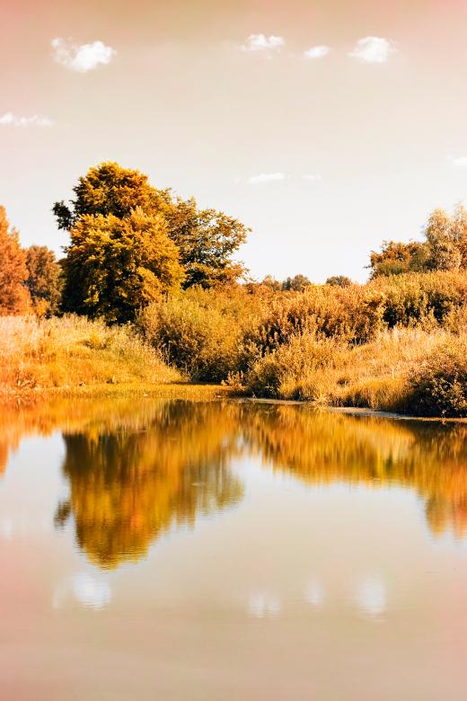 Free stock image of Summer landscape created by 2happy