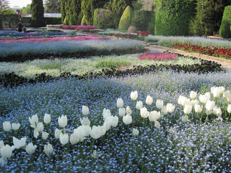 Free stock image of Botanical garden Balchik, Bulgaria created by Boris Kyurkchiev