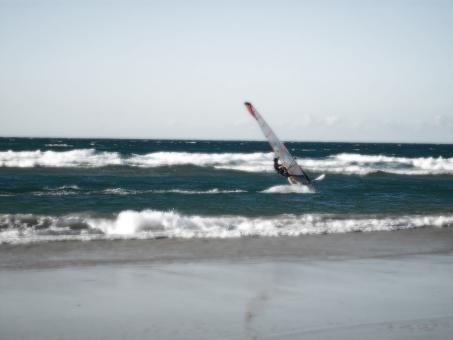 Windsurfing in waves - Free Stock Photo