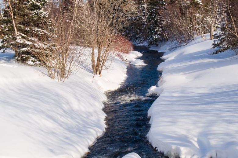 Free stock image of Winter created by Geoffrey Whiteway