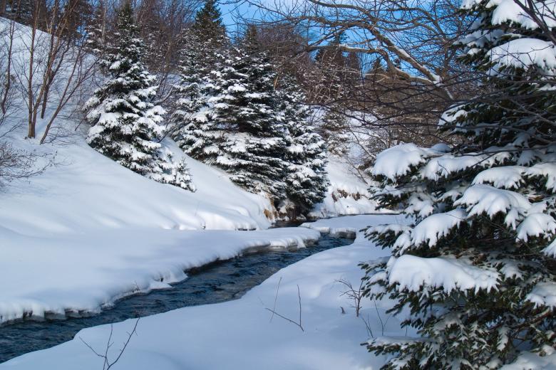 Free stock image of Winter created by Geoffrey Whiteway