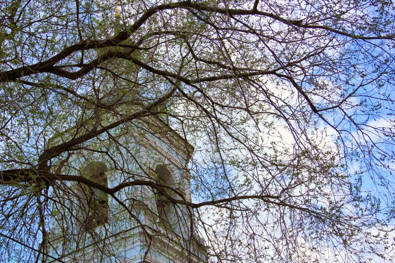 Free stock image of Cathedral and branches created by Alsusha