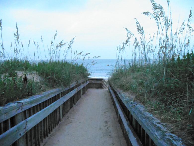 Free stock image of beach grass created by Samantha S