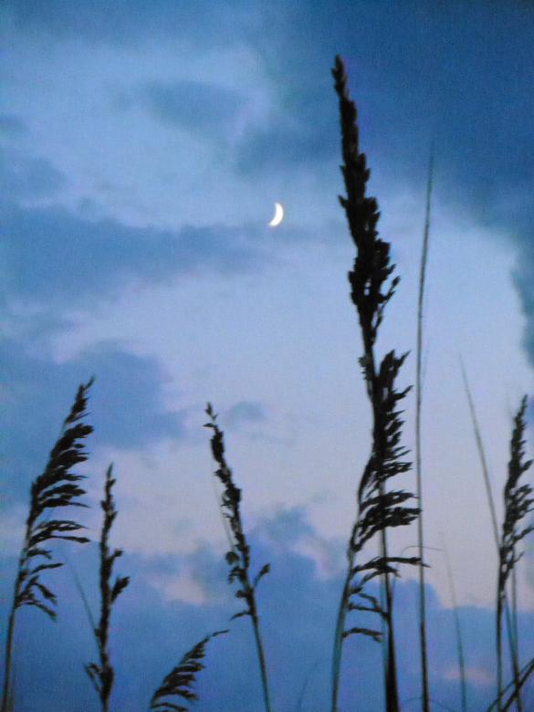 Free stock image of view from the beach created by Samantha S