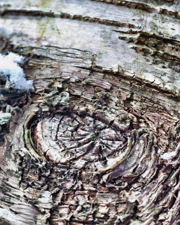 Free stock image of Wood Background created by Geoffrey Whiteway