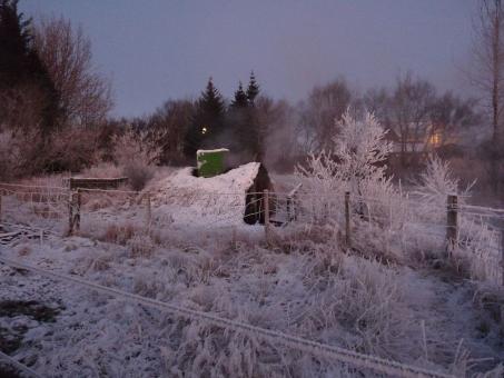 Winter landscape