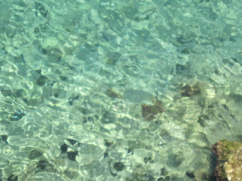 Free stock image of Seawater texture created by Boris Kyurkchiev