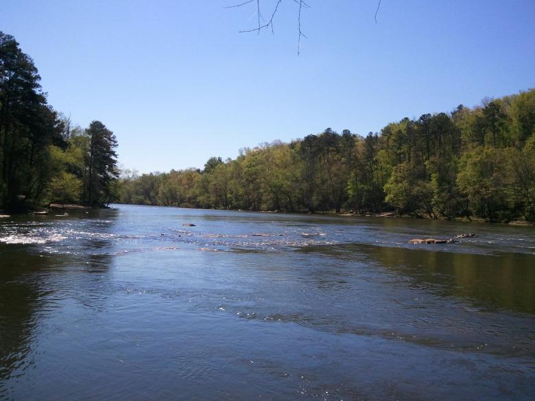 Free stock image of Georgia River created by Karen Long