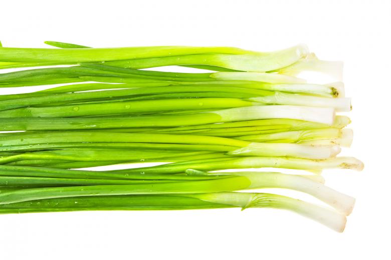 Free stock image of greens created by Valeev