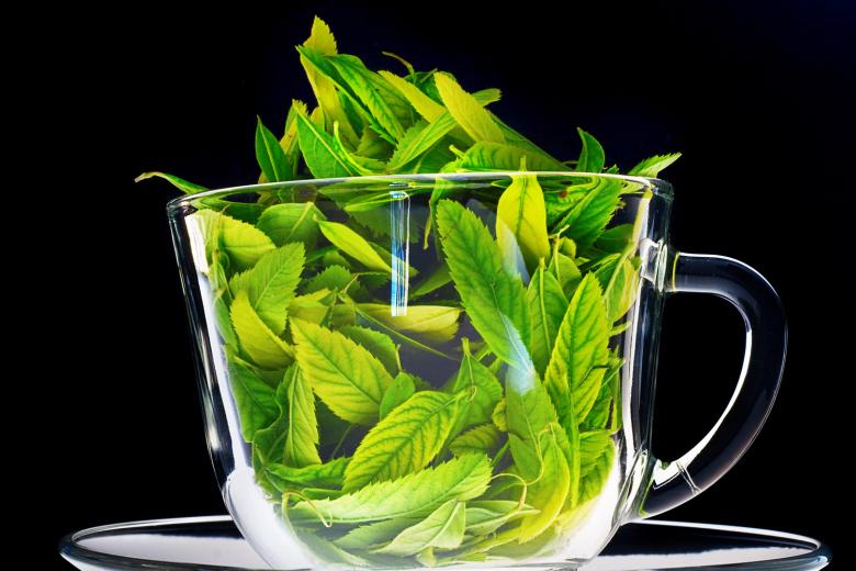 Free stock image of Cup with leaves created by 2happy