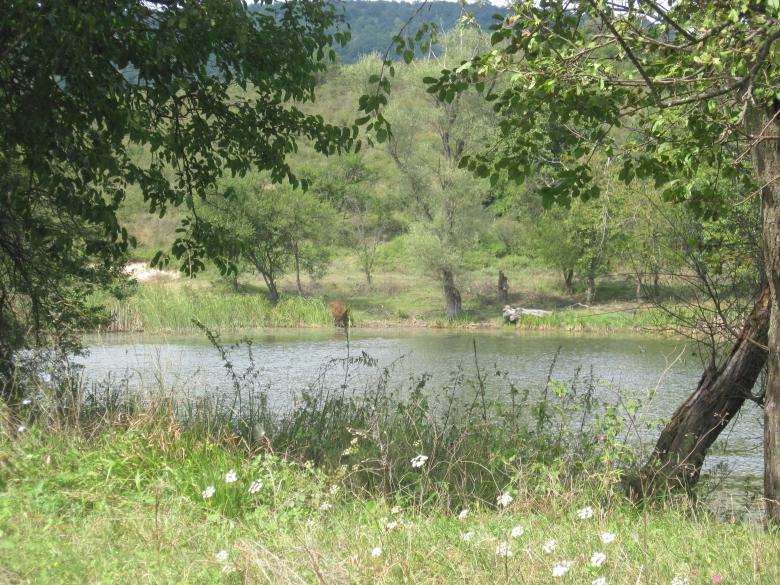 Free stock image of Mountain lake created by Boris Kyurkchiev