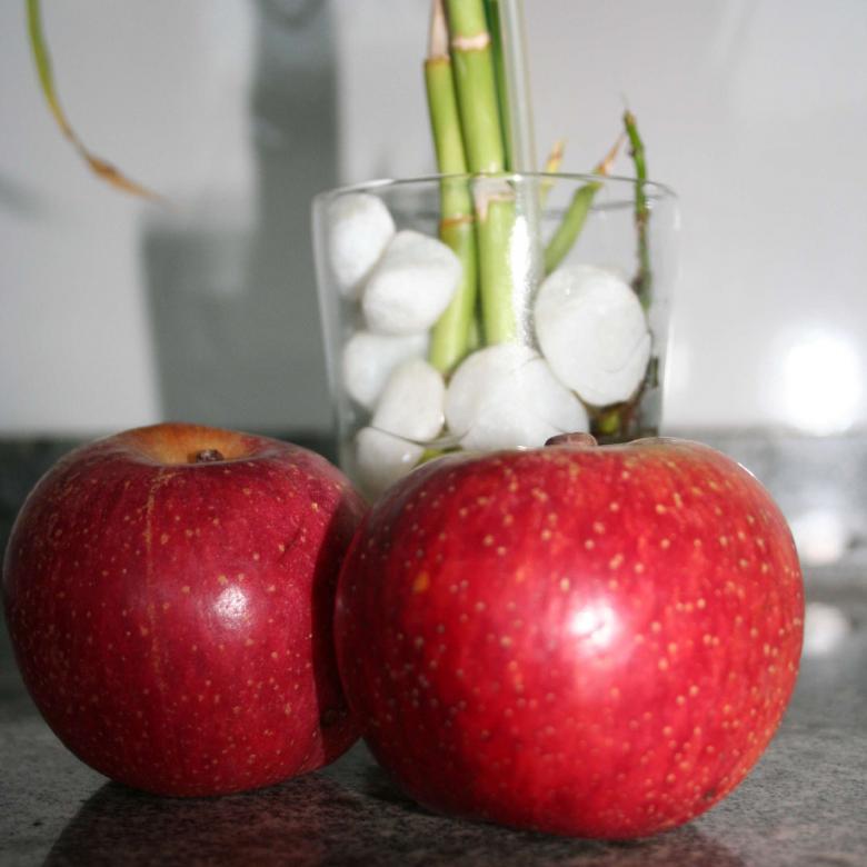 Free stock image of Nutrition created by Jordana Sathler
