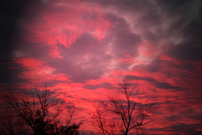 Free stock image of Fire created by Tim Fitch
