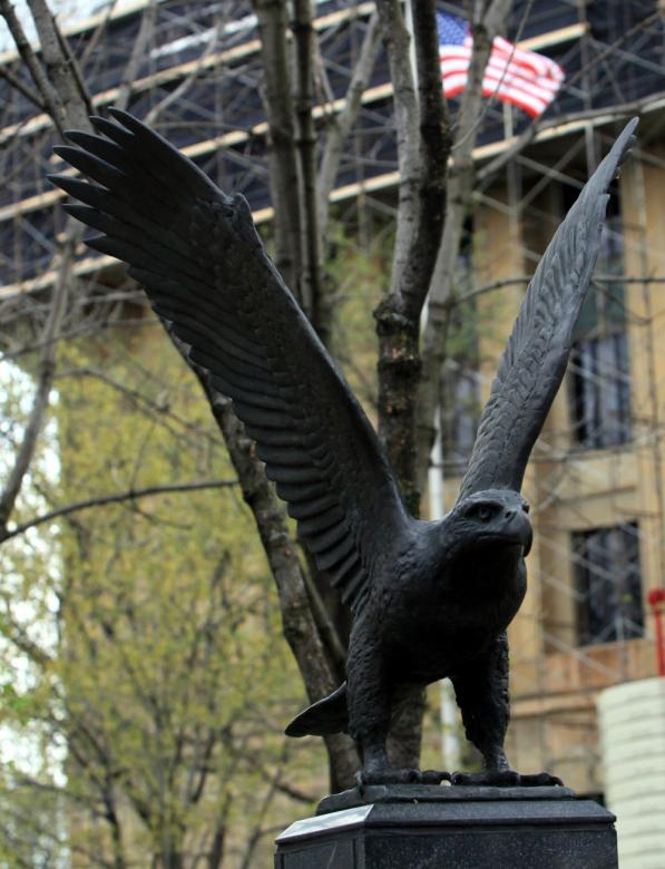 Free stock image of Eagle created by Tim Fitch