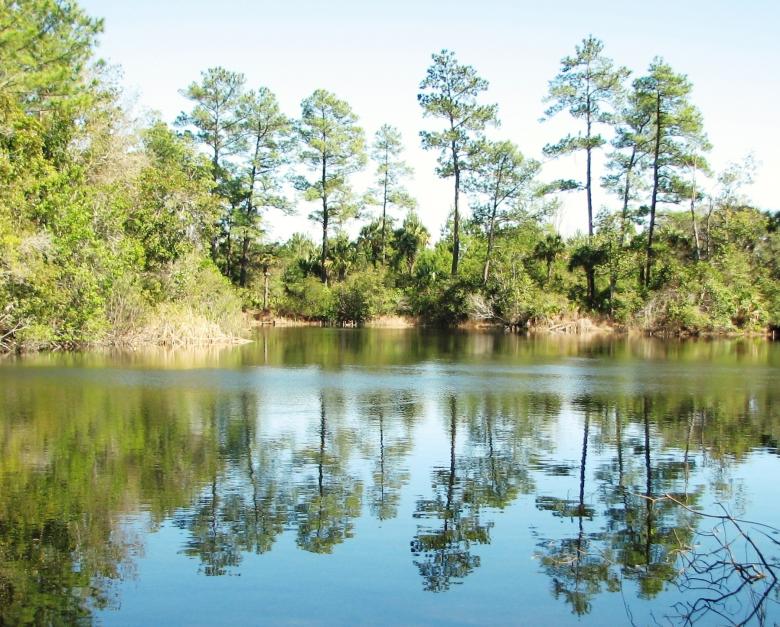 Free stock image of Reflections In Lake Water created by David Witts