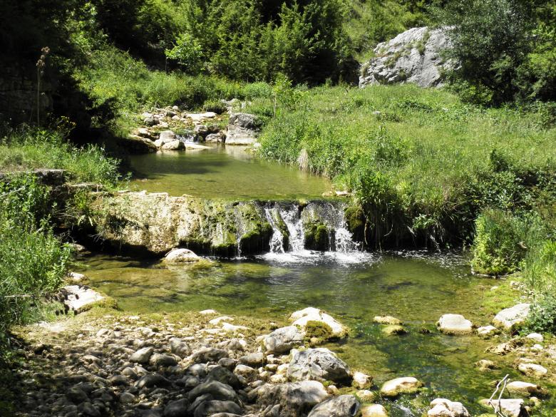 Free stock image of Small stream in Stara planina mountain created by Yuliy Ganev