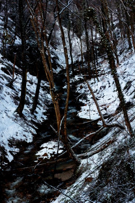 Free stock image of Creek in the winter created by Alen