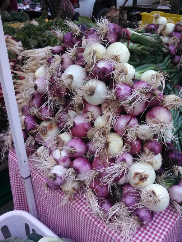 Free stock image of Fresh Onions created by Katharine Sparrow
